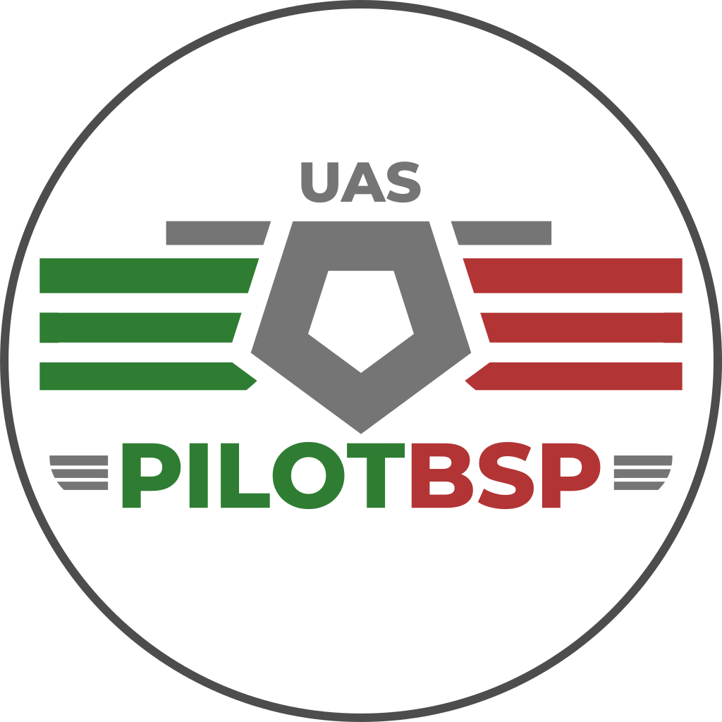 PilotBSP